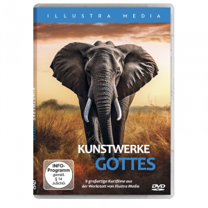 Kunstwerke Gottes - DVD Cover